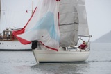 amber haze gbr4177 whyw18 sun gjmc 6629w